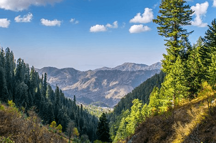Paradise Point Nathia Gali Attractions Things to do in Nathiagali